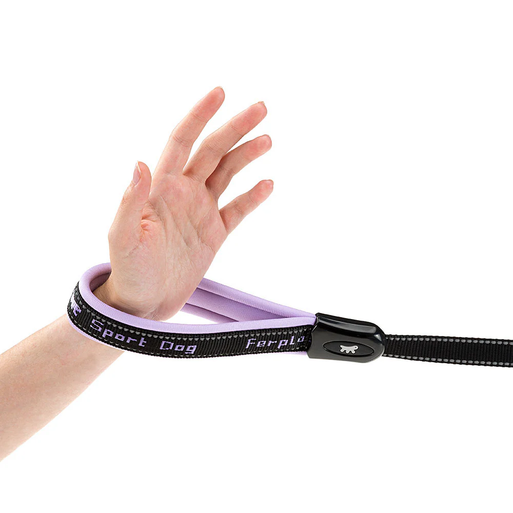 SPORT DOG GA - Image 7
