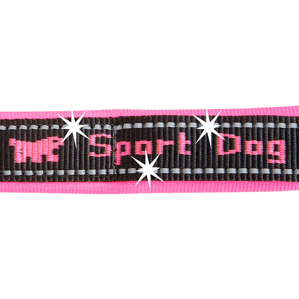 SPORT DOG MATIC G - Image 14