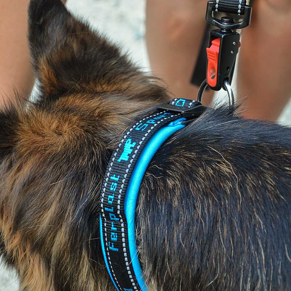 SPORT DOG MATIC G - Image 25