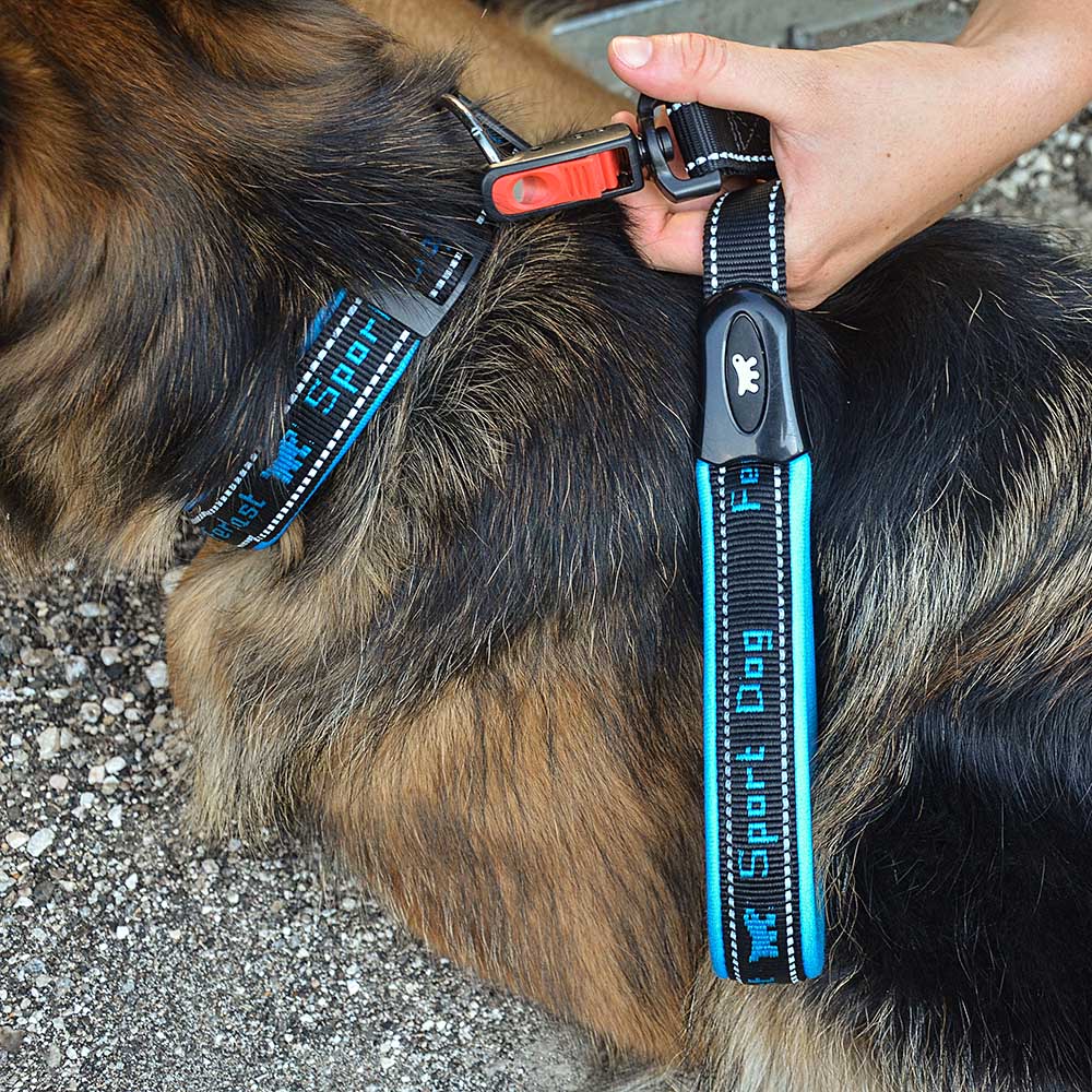 SPORT DOG MATIC G - Image 26