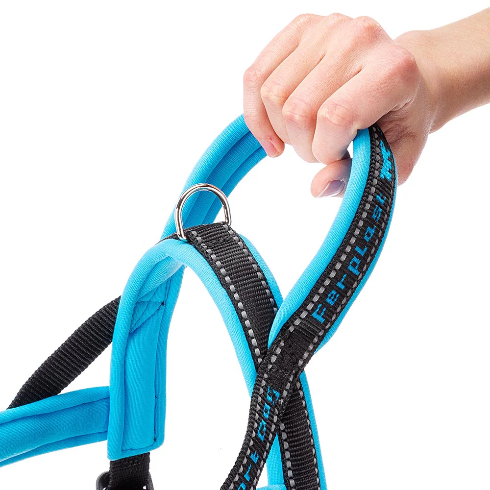 SPORT DOG P - Image 26