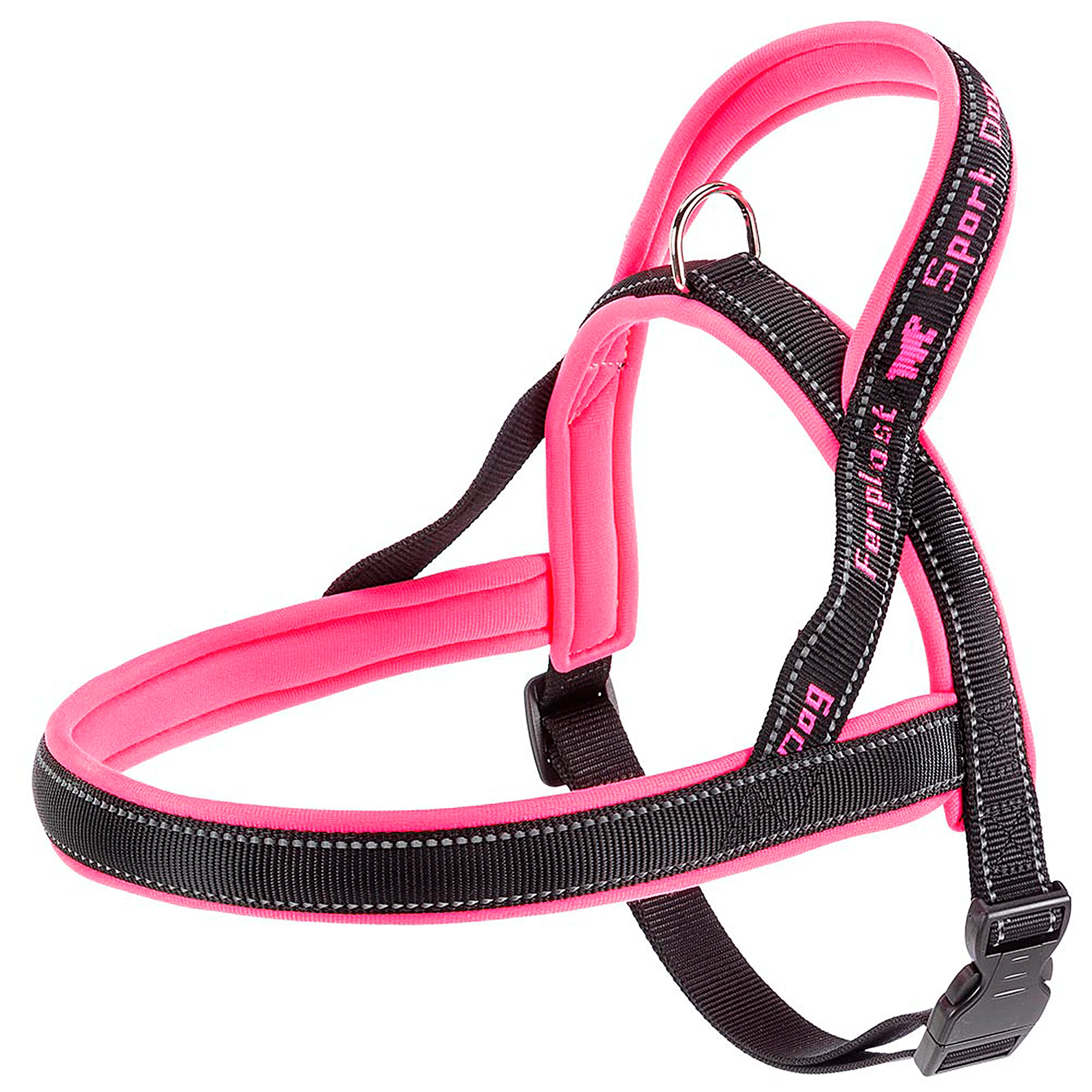 SPORT DOG P - Image 30
