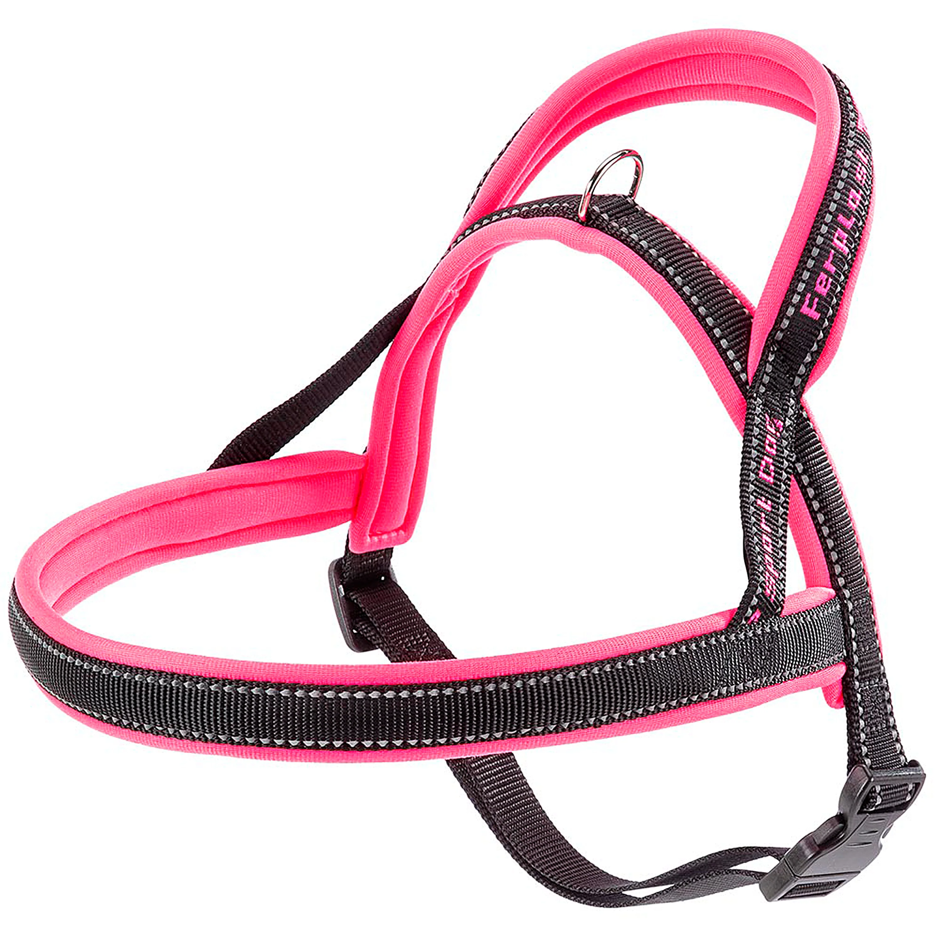 SPORT DOG P - Image 34