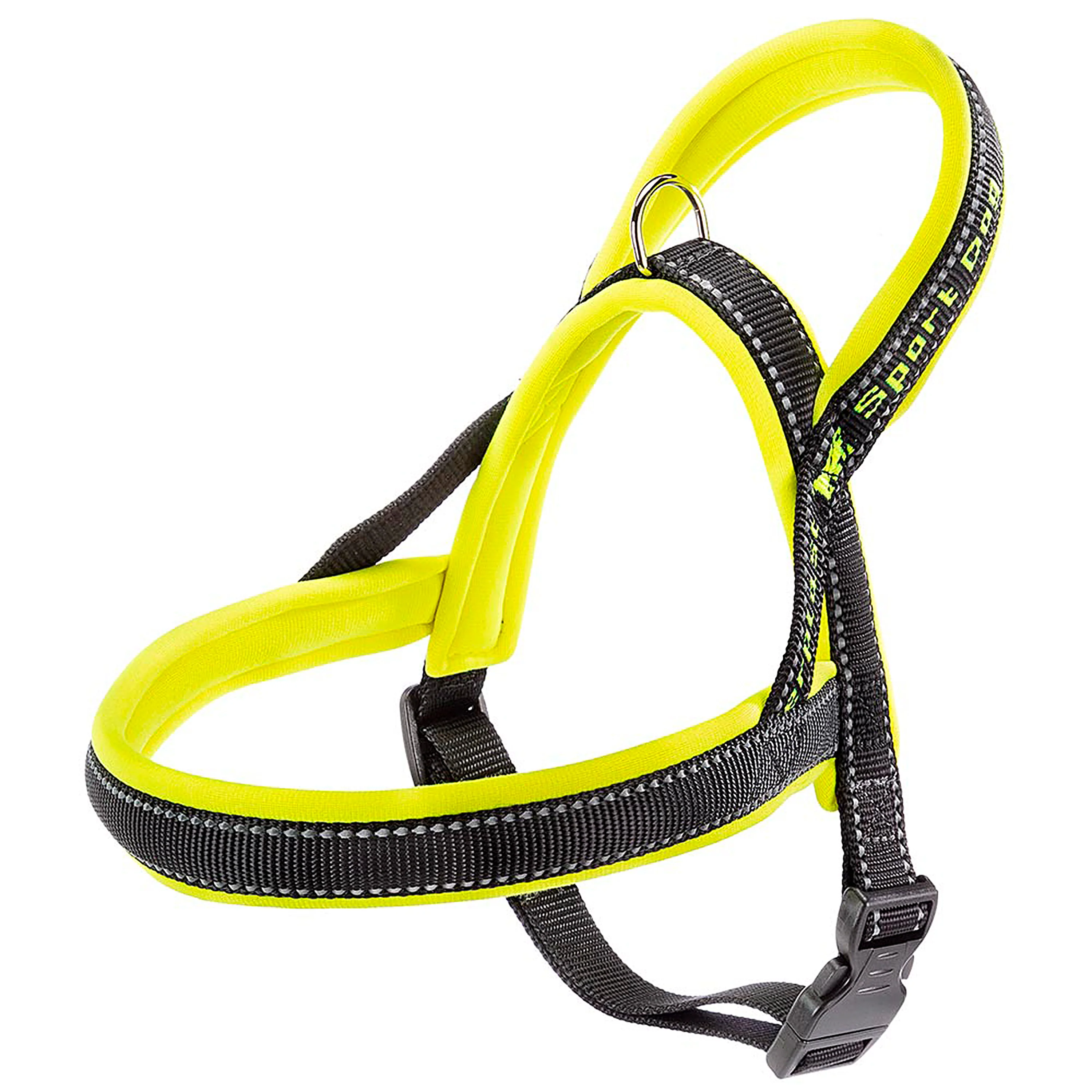 SPORT DOG P - Image 35
