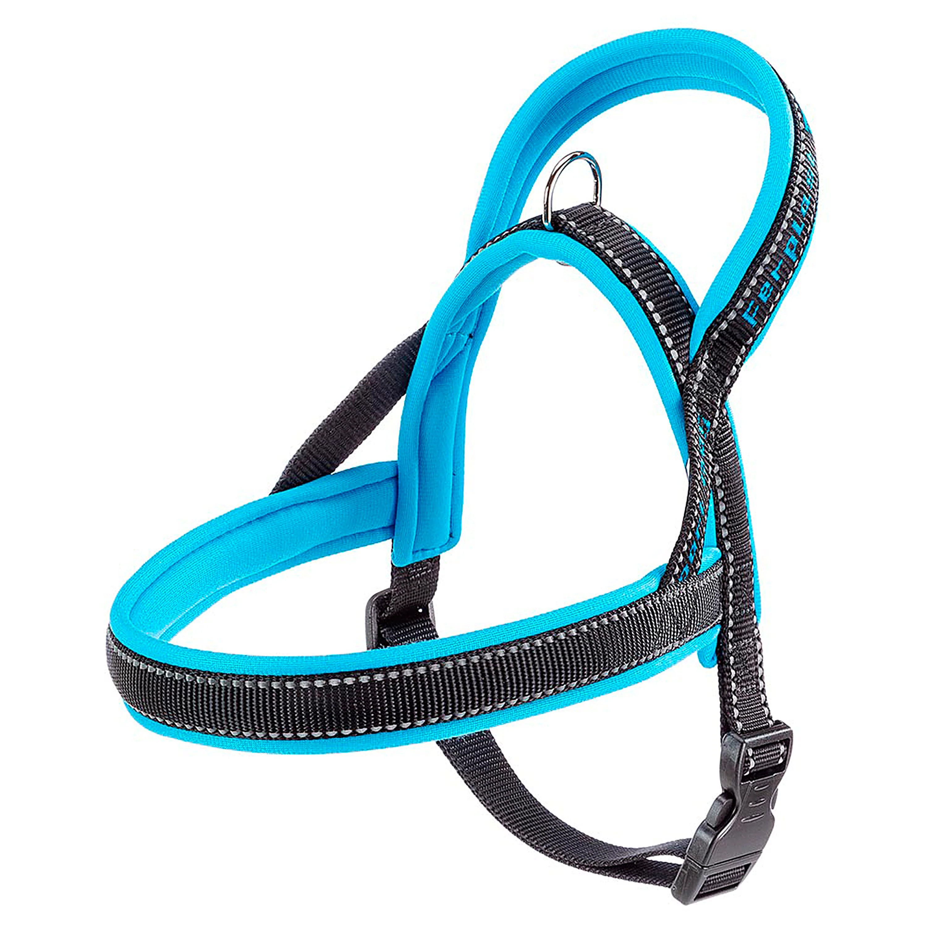 SPORT DOG P - Image 36
