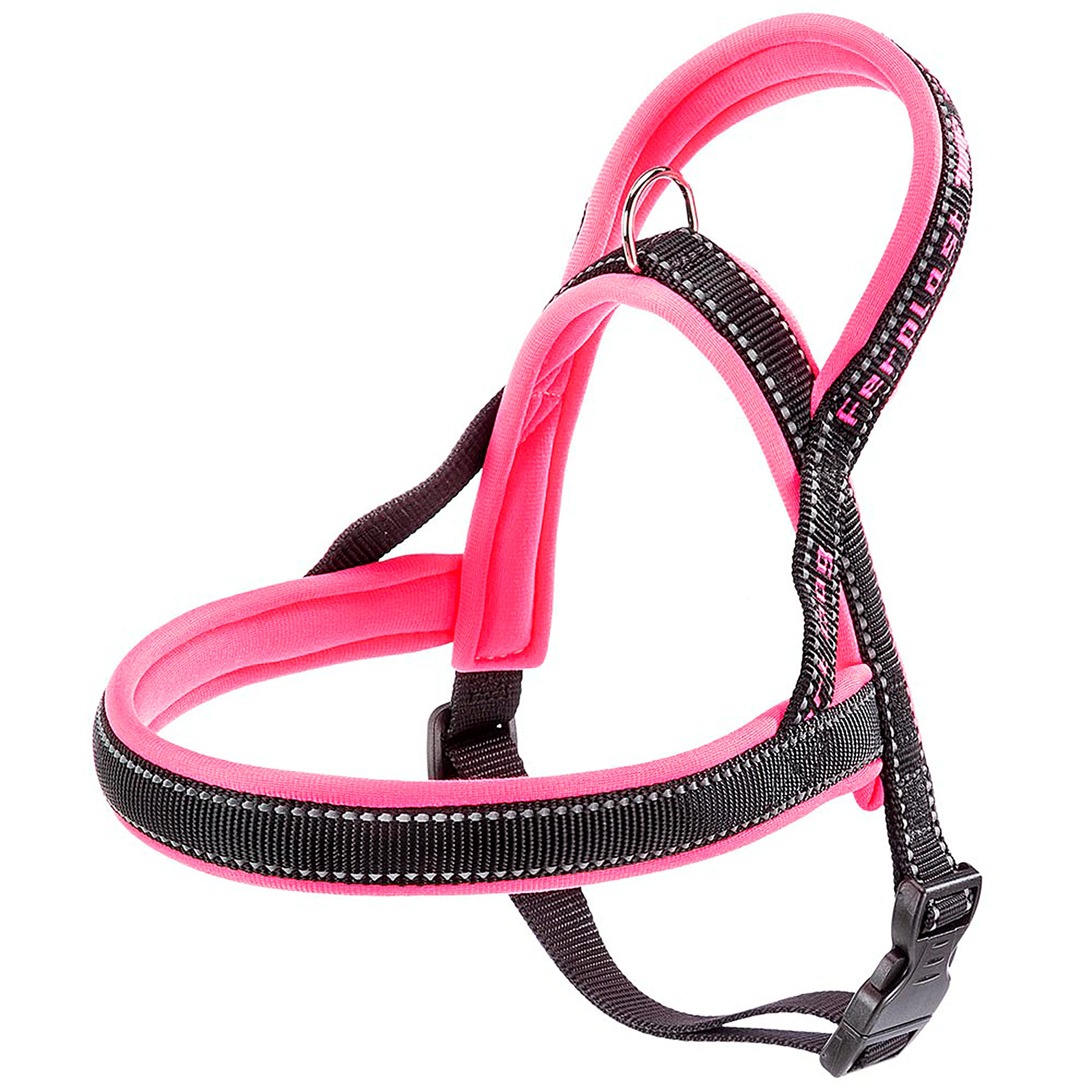 SPORT DOG P - Image 38
