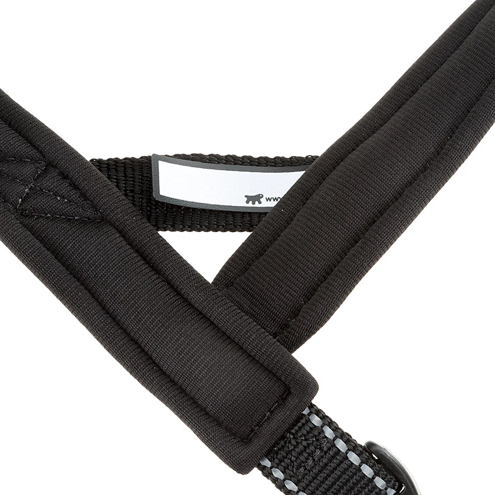 SPORT DOG P - Image 9