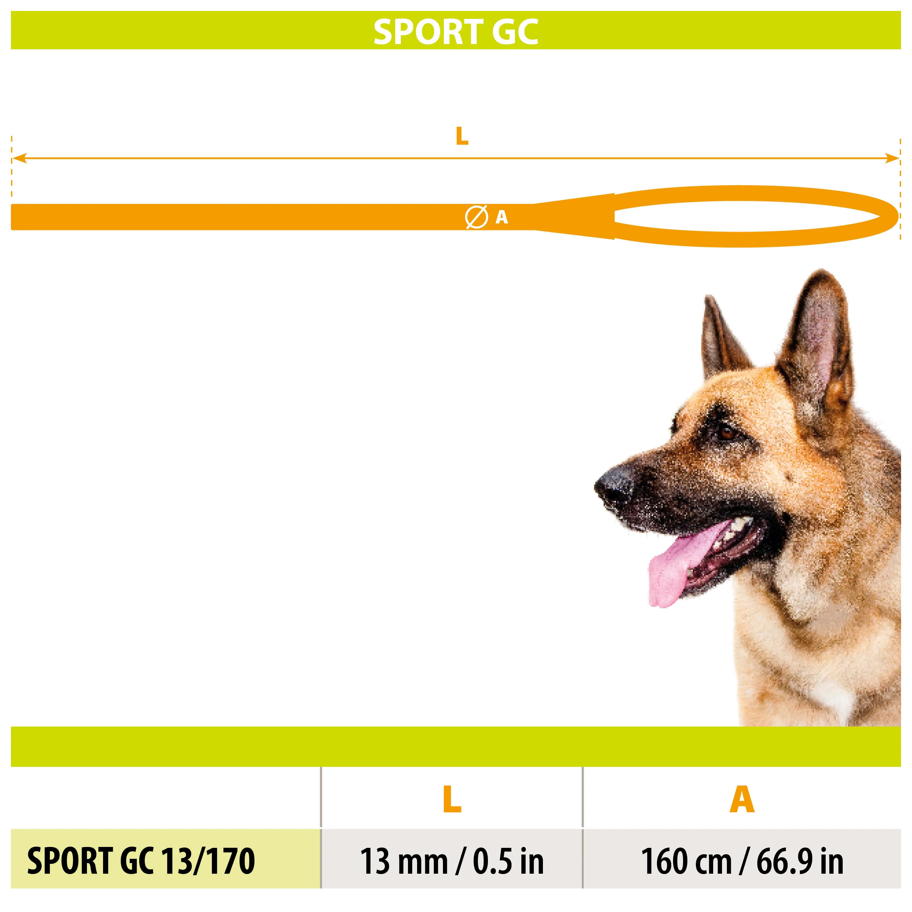 SPORT REFLEX GC - Image 2