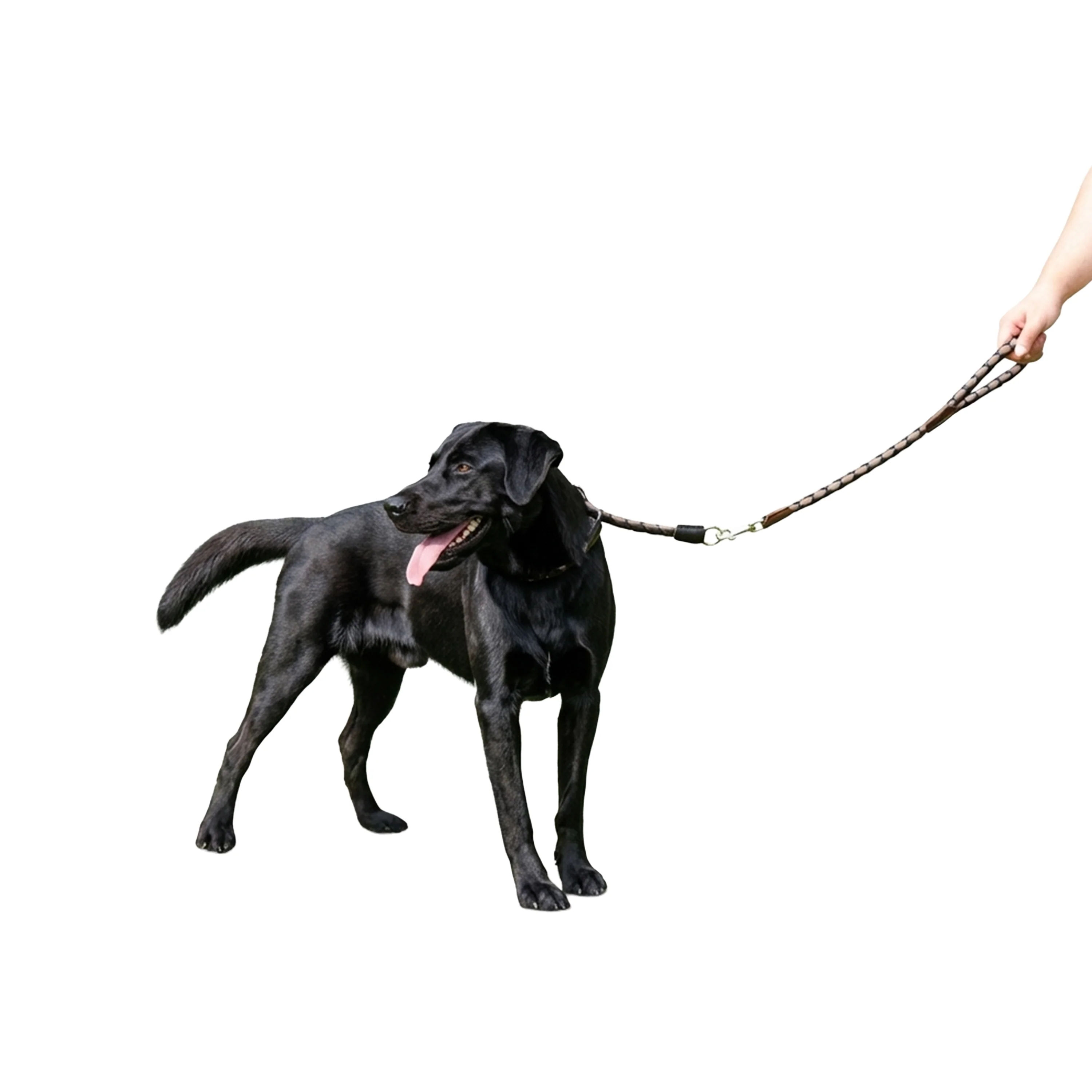 TWIST GM - Image 13