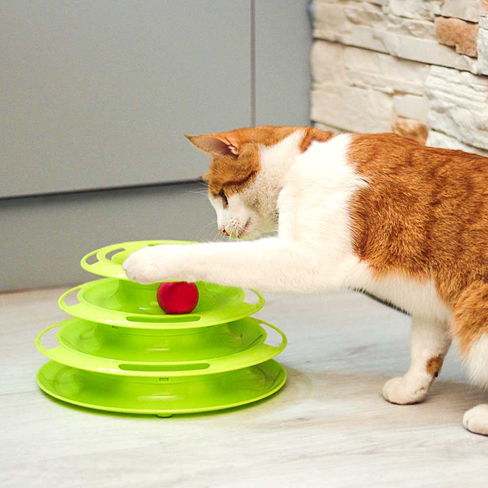 TWISTER - Image 3