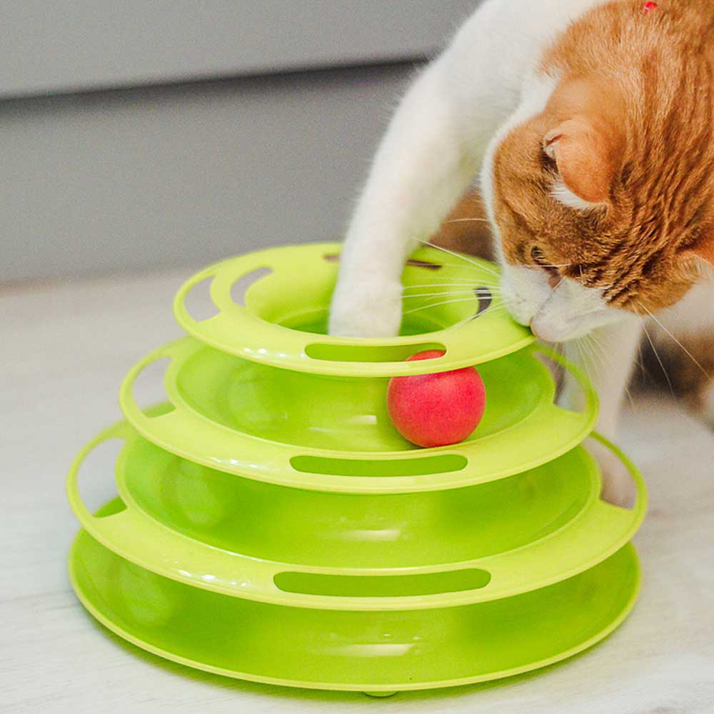 TWISTER - Image 4