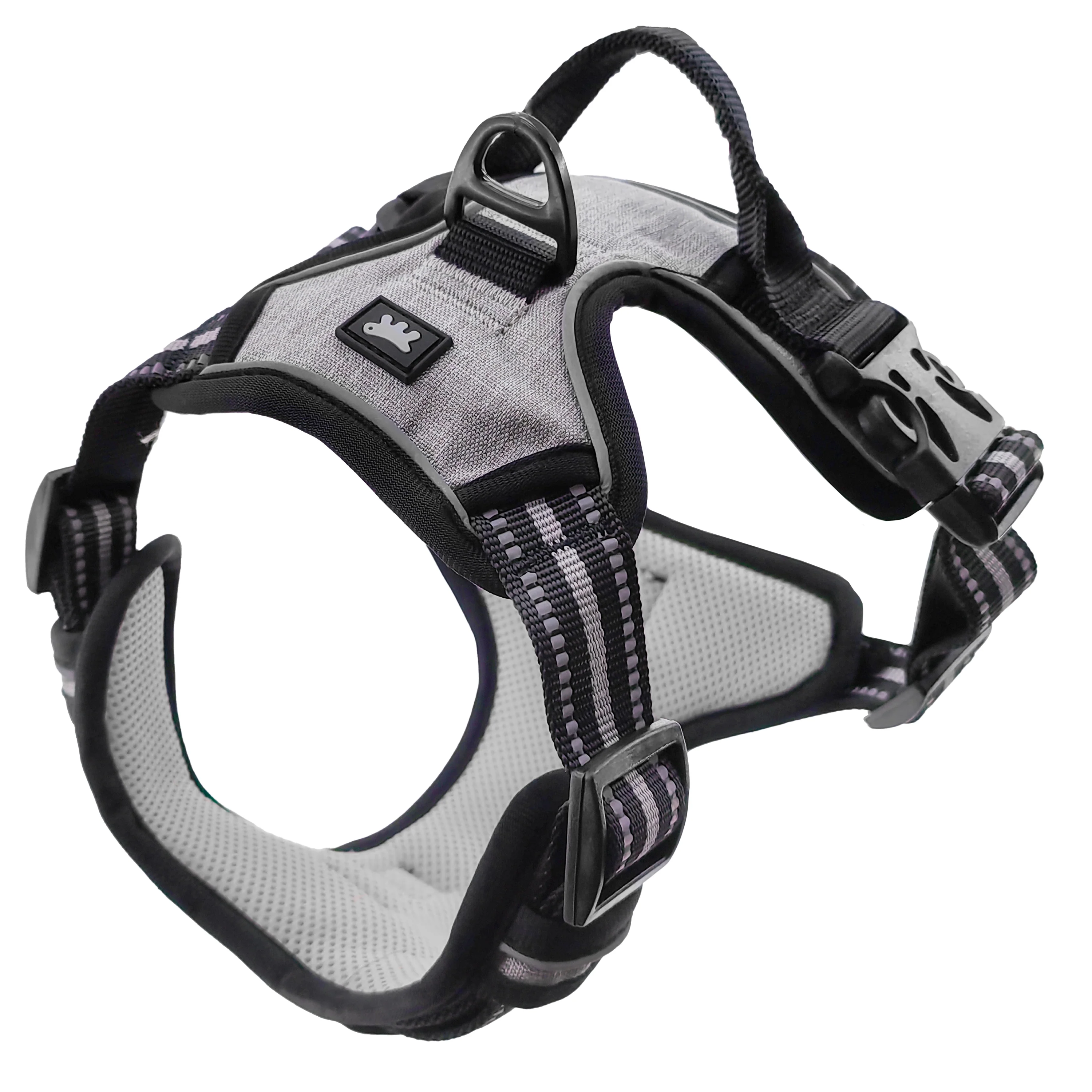 VIGOR - Image 17