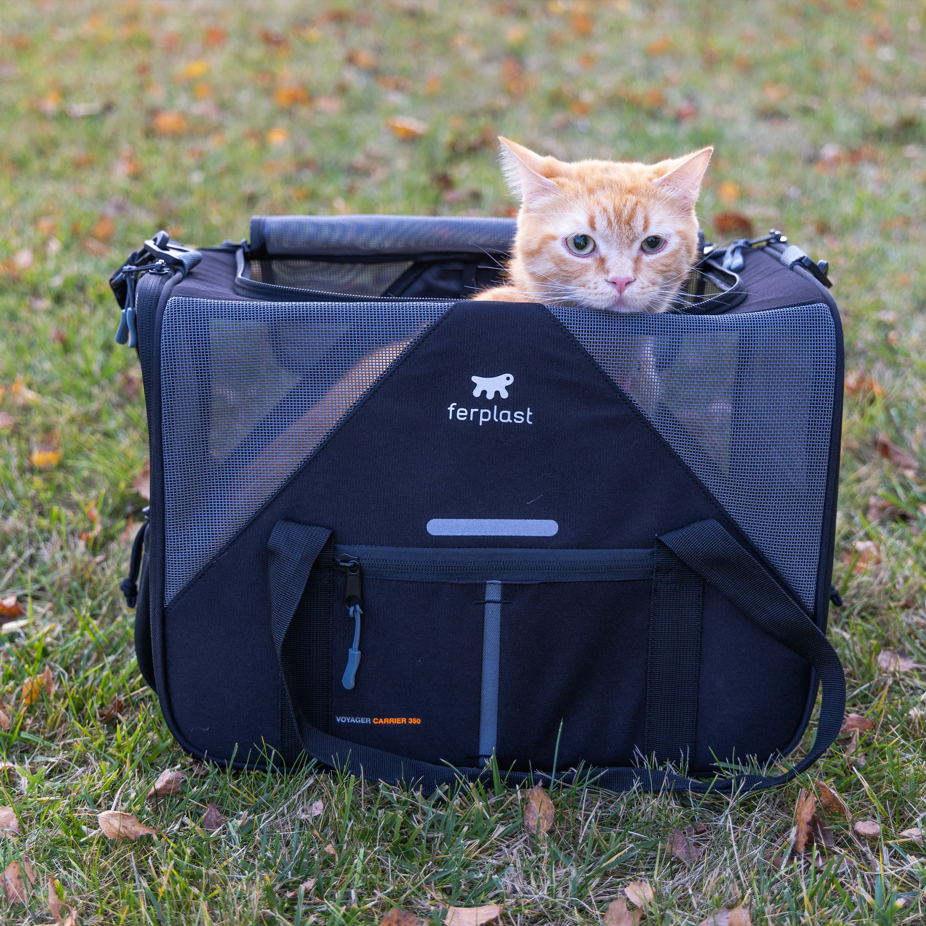 VOYAGER CARRIER - Image 12